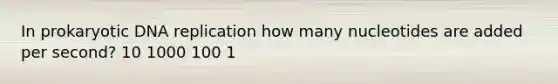 In prokaryotic DNA replication how many nucleotides are added per second? 10 1000 100 1
