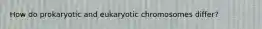 How do prokaryotic and eukaryotic chromosomes differ?