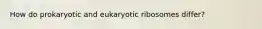 How do prokaryotic and eukaryotic ribosomes differ?