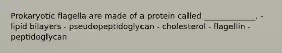 Prokaryotic flagella are made of a protein called _____________. - lipid bilayers - pseudopeptidoglycan - cholesterol - flagellin - peptidoglycan