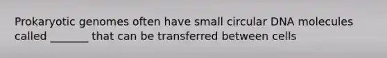 Prokaryotic genomes often have small circular DNA molecules called _______ that can be transferred between cells