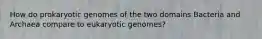 How do prokaryotic genomes of the two domains Bacteria and Archaea compare to eukaryotic genomes?