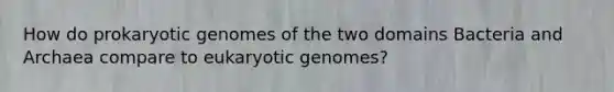 How do prokaryotic genomes of the two domains Bacteria and Archaea compare to eukaryotic genomes?