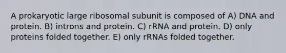 A prokaryotic large ribosomal subunit is composed of A) DNA and protein. B) introns and protein. C) rRNA and protein. D) only proteins folded together. E) only rRNAs folded together.