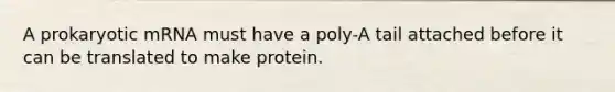 A prokaryotic mRNA must have a poly-A tail attached before it can be translated to make protein.