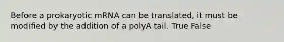 Before a prokaryotic mRNA can be translated, it must be modified by the addition of a polyA tail. True False