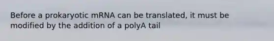 Before a prokaryotic mRNA can be translated, it must be modified by the addition of a polyA tail