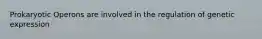 Prokaryotic Operons are involved in the regulation of genetic expression