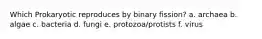 Which Prokaryotic reproduces by binary fission? a. archaea b. algae c. bacteria d. fungi e. protozoa/protists f. virus