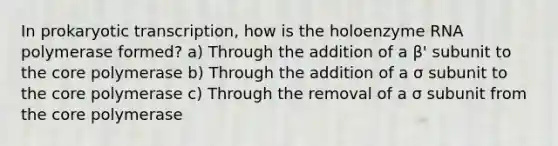 In prokaryotic transcription, how is the holoenzyme RNA polymerase formed? a) Through the addition of a β' subunit to the core polymerase b) Through the addition of a σ subunit to the core polymerase c) Through the removal of a σ subunit from the core polymerase