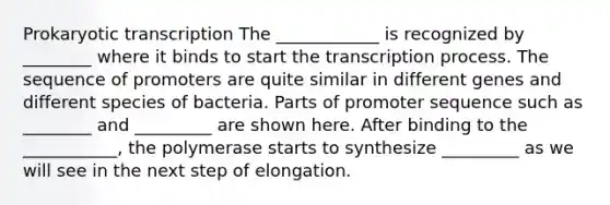 Prokaryotic transcription The ____________ is recognized by ________ where it binds to start the transcription process. The sequence of promoters are quite similar in different genes and different species of bacteria. Parts of promoter sequence such as ________ and _________ are shown here. After binding to the ___________, the polymerase starts to synthesize _________ as we will see in the next step of elongation.