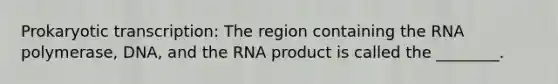 Prokaryotic transcription: The region containing the RNA polymerase, DNA, and the RNA product is called the ________.