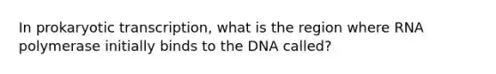 In prokaryotic transcription, what is the region where RNA polymerase initially binds to the DNA called?