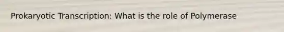 Prokaryotic Transcription: What is the role of Polymerase