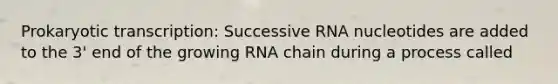 Prokaryotic transcription: Successive RNA nucleotides are added to the 3' end of the growing RNA chain during a process called