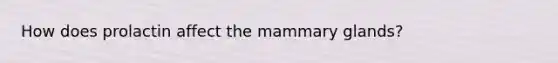 How does prolactin affect the mammary glands?