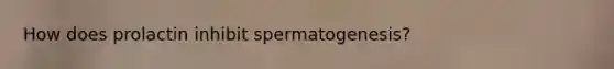 How does prolactin inhibit spermatogenesis?