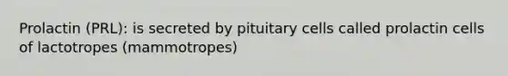 Prolactin (PRL): is secreted by pituitary cells called prolactin cells of lactotropes (mammotropes)