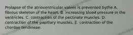 Prolapse of the atrioventricular valves is prevented bythe A. fibrous skeleton of the heart. B. increasing blood pressure in the ventricles. C. contraction of the pectinate muscles. D. contraction of the papillary muscles. E. contraction of the chordae tendineae.