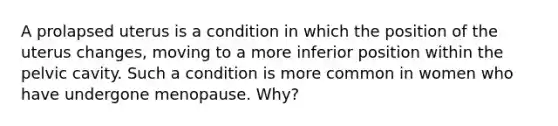 A prolapsed uterus is a condition in which the position of the uterus changes, moving to a more inferior position within the pelvic cavity. Such a condition is more common in women who have undergone menopause. Why?
