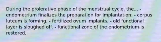 During the prolerative phase of the menstrual cycle, the... - endometrium finalizes the preparation for implantation. - corpus luteum is forming. - fertilized ovum implants. - old functional layer is sloughed off. - functional zone of the endometrium is restored.