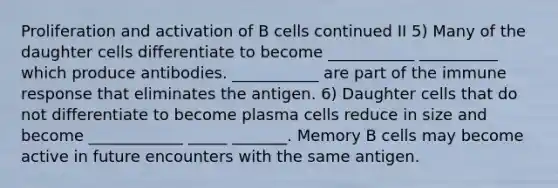 Proliferation and activation of B cells continued II 5) Many of the daughter cells differentiate to become ___________ __________ which produce antibodies. ___________ are part of the immune response that eliminates the antigen. 6) Daughter cells that do not differentiate to become plasma cells reduce in size and become ____________ _____ _______. Memory B cells may become active in future encounters with the same antigen.