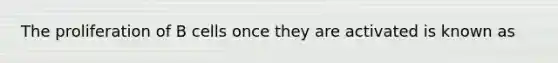 The proliferation of B cells once they are activated is known as