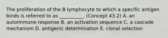 The proliferation of the B lymphocyte to which a specific antigen binds is referred to as __________. (Concept 43.2) A. an autoimmune response B. an activation sequence C. a cascade mechanism D. antigenic determination E. clonal selection