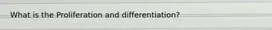 What is the Proliferation and differentiation?