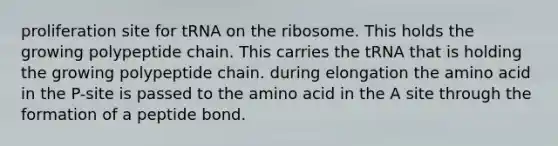 proliferation site for tRNA on the ribosome. This holds the growing polypeptide chain. This carries the tRNA that is holding the growing polypeptide chain. during elongation the amino acid in the P-site is passed to the amino acid in the A site through the formation of a peptide bond.