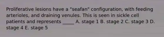 Proliferative lesions have a "seafan" configuration, with feeding arterioles, and draining venules. This is seen in sickle cell patients and represents _____ A. stage 1 B. stage 2 C. stage 3 D. stage 4 E. stage 5