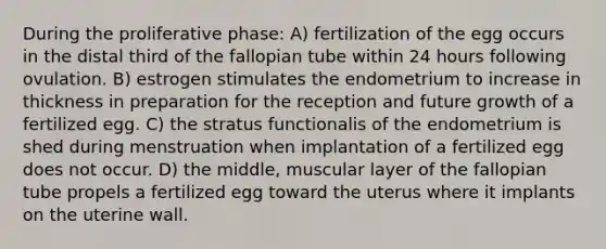 During the proliferative phase: A) fertilization of the egg occurs in the distal third of the fallopian tube within 24 hours following ovulation. B) estrogen stimulates the endometrium to increase in thickness in preparation for the reception and future growth of a fertilized egg. C) the stratus functionalis of the endometrium is shed during menstruation when implantation of a fertilized egg does not occur. D) the middle, muscular layer of the fallopian tube propels a fertilized egg toward the uterus where it implants on the uterine wall.