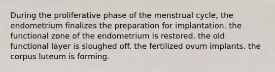 During the proliferative phase of the menstrual cycle, the endometrium finalizes the preparation for implantation. the functional zone of the endometrium is restored. the old functional layer is sloughed off. the fertilized ovum implants. the corpus luteum is forming.