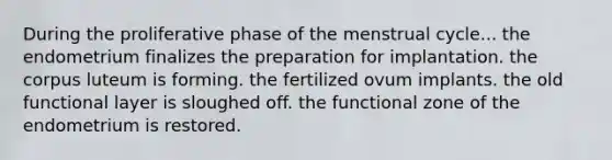 During the proliferative phase of the menstrual cycle... the endometrium finalizes the preparation for implantation. the corpus luteum is forming. the fertilized ovum implants. the old functional layer is sloughed off. the functional zone of the endometrium is restored.