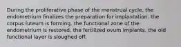 During the proliferative phase of the menstrual cycle, the endometrium finalizes the preparation for implantation. the corpus luteum is forming. the functional zone of the endometrium is restored. the fertilized ovum implants. the old functional layer is sloughed off.