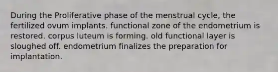 During the Proliferative phase of the menstrual cycle, the fertilized ovum implants. functional zone of the endometrium is restored. corpus luteum is forming. old functional layer is sloughed off. endometrium finalizes the preparation for implantation.