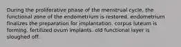 During the proliferative phase of the menstrual cycle, the functional zone of the endometrium is restored. endometrium finalizes the preparation for implantation. corpus luteum is forming. fertilized ovum implants. old functional layer is sloughed off.