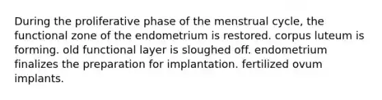 During the proliferative phase of the menstrual cycle, the functional zone of the endometrium is restored. corpus luteum is forming. old functional layer is sloughed off. endometrium finalizes the preparation for implantation. fertilized ovum implants.