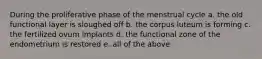 During the proliferative phase of the menstrual cycle a. the old functional layer is sloughed off b. the corpus luteum is forming c. the fertilized ovum implants d. the functional zone of the endometrium is restored e. all of the above