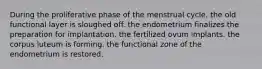 During the proliferative phase of the menstrual cycle, the old functional layer is sloughed off. the endometrium finalizes the preparation for implantation. the fertilized ovum implants. the corpus luteum is forming. the functional zone of the endometrium is restored.