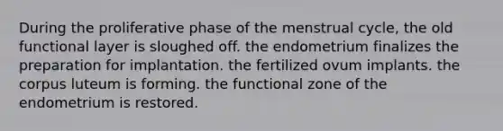 During the proliferative phase of the menstrual cycle, the old functional layer is sloughed off. the endometrium finalizes the preparation for implantation. the fertilized ovum implants. the corpus luteum is forming. the functional zone of the endometrium is restored.