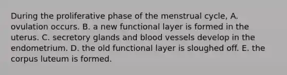 During the proliferative phase of the menstrual cycle, A. ovulation occurs. B. a new functional layer is formed in the uterus. C. secretory glands and blood vessels develop in the endometrium. D. the old functional layer is sloughed off. E. the corpus luteum is formed.