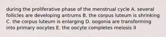 during the proliferative phase of the menstrual cycle A. several follicles are developing antrums B. the corpus luteum is shrinking C. the corpus luteum is enlarging D. oogonia are transforming into primary oocytes E. the oocyte completes meiosis II