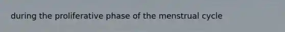 during the proliferative phase of the menstrual cycle