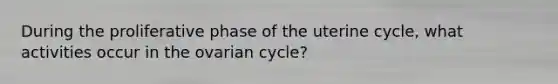 During the proliferative phase of the uterine cycle, what activities occur in the ovarian cycle?