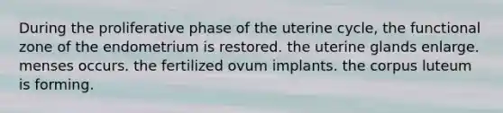 During the proliferative phase of the uterine cycle, the functional zone of the endometrium is restored. the uterine glands enlarge. menses occurs. the fertilized ovum implants. the corpus luteum is forming.