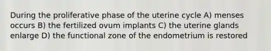 During the proliferative phase of the uterine cycle A) menses occurs B) the fertilized ovum implants C) the uterine glands enlarge D) the functional zone of the endometrium is restored