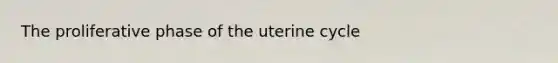 The proliferative phase of the uterine cycle