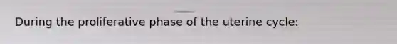 During the proliferative phase of the uterine cycle: