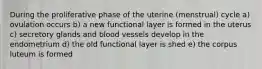 During the proliferative phase of the uterine (menstrual) cycle a) ovulation occurs b) a new functional layer is formed in the uterus c) secretory glands and blood vessels develop in the endometrium d) the old functional layer is shed e) the corpus luteum is formed